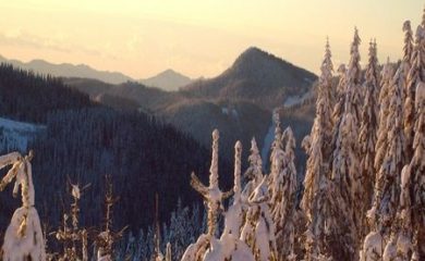 Намериха невредим изгубен турист