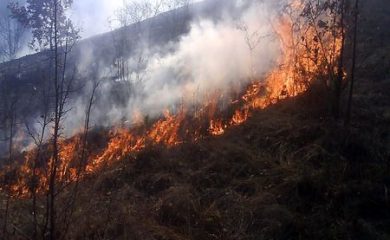 За три дни в Смолянско са регистрирани 18 пожара в горски територии