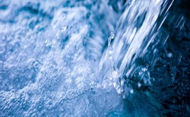 РИОСВ – Смолян отбеляза Световния ден на водата
