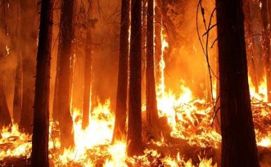 Внимание! Пожароопасен сезон за горите в Смолянско