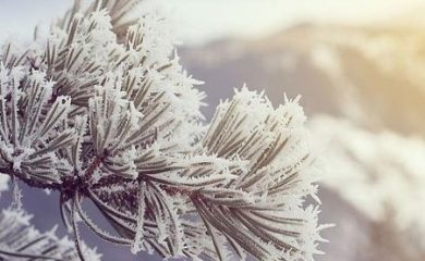 Майски сняг в Смолянско