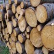 ЮЦДП: Осигурете си дърва за огрев по-рано