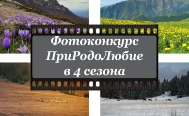 МОСВ обяви фотоконкурс „ПриРодоЛюбие в 4 сезона“