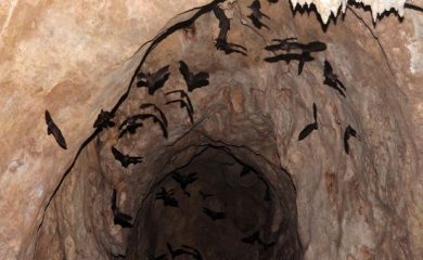 Развиват пещерния туризъм в Родопите с над 3,5 млн. лева