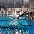 В Смолян се проведе зрелищно състезание по плуване за деца и младежи