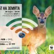 Часът на Земята 2020 поставя на фокус българските гори