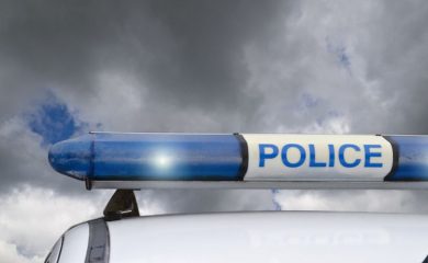 Полицията разследва смъртта на няколко кучета в района на Перелик