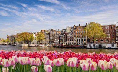 Нидерландия отменя изискването за PCR тест и карантина за пристигащите от България