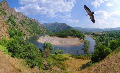 Nat Geo Wild с епизод за дивата природа на Родопите