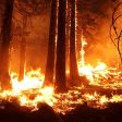 Голям горски пожар край Девин
