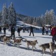 Пампорово отчита ръст на ранните записвания за зимния сезон