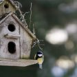 Само за 3 дни бяха продадени всички къщички за птички от благотворителния базар на РИОСВ-Смолян