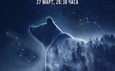 Часът на Земята 2021: Да се погрижим за мечките
