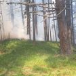 ЮЦДП-Смолян награди финансово горските, участвали в гасенето на пожари