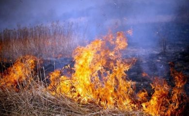 Мълния предизвика пожар в стопанска сграда, намираща се в село Ерма река