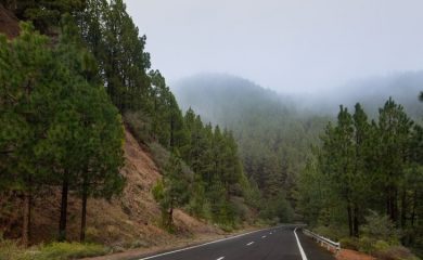 Проектират ремонта на близо 42 км от пътя Гоце Делчев-Доспат