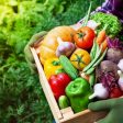 От 28 март се отваря прием по de minimis за производителите на оранжерийни зеленчуци