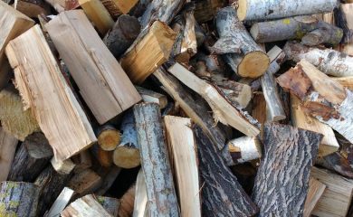 Държавата ще продава дървата за огрев без посредници, цената им пада