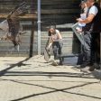 Черният лешояд се завръща в Източните Родопи