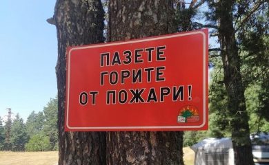 Община Доспат: Да опазим гората от пожари