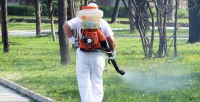 В Златоград ще пръскат срещу кърлежи, бълхи и комари