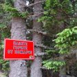 Пожарната: Човешката небрежност е най-честата причина за горски пожари