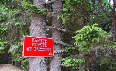 Пожарната: Човешката небрежност е най-честата причина за горски пожари