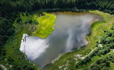 Отбелязваме Световния ден на влажните зони