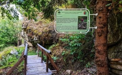 Поставиха туристическа маркировка на екопътека „Старата воденица“ в Чепеларе