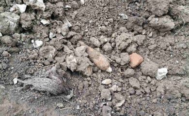 Намериха снаряд в двора на къща в Смолян