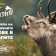 Музикален албум призовава за защита на застрашените животински видове в Родопите