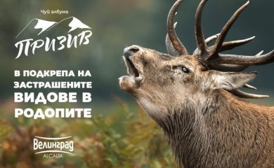 Музикален албум призовава за защита на застрашените животински видове в Родопите