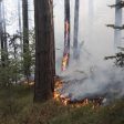 Мълния предизвика горски пожар край чепеларското село Хвойна