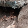 Започват разкопки на средновековния некропол край Неделино