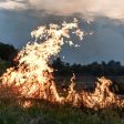 Изгасиха пожар в Левочево преди да обхване горски територии