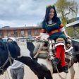 В центъра на Чепеларе ще има шествие с коне