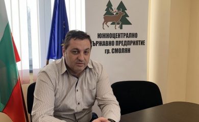 Пазарът на строителна дървесина се успокоява след рекордните цени