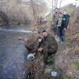 Зарибиха с балканска пъстърва река Девинска