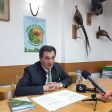 Прирастът на горите в Смолянско е 1 млн. кубика на година