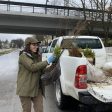Раздават безплатно дръвчета в Смолян по случай Седмицата на гората