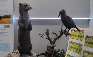 Музеят на родопския карст представя изложбата „Река на биоразнообразието“
