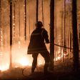 Потушиха пожар в иглолистна гора край чепеларското село Павелско