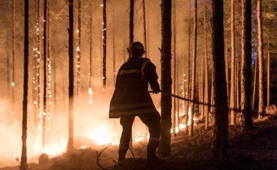 Събират доброволци за гасене на горския пожар край Хвойна