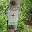 Парк Амзово се сдоби с горска аптечка