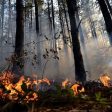 Горски пожар между Средногорци и Рудозем вдигна на крак огнеборци