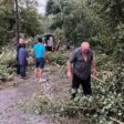 Силна буря повали дървета в Неделинско