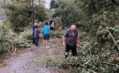 Силна буря повали дървета в Неделинско
