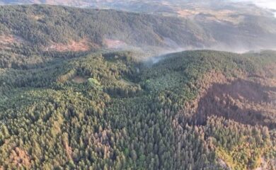 Пожарът край чепеларското село Хвойна е овладян