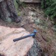 Горски от РДГ-Смолян задържаха 23 кубика незаконно добита дървесина