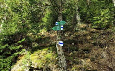 Обновяват туристическата маркировка от Чепеларе до хижа Изгрев